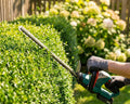 Hecke Schneiden